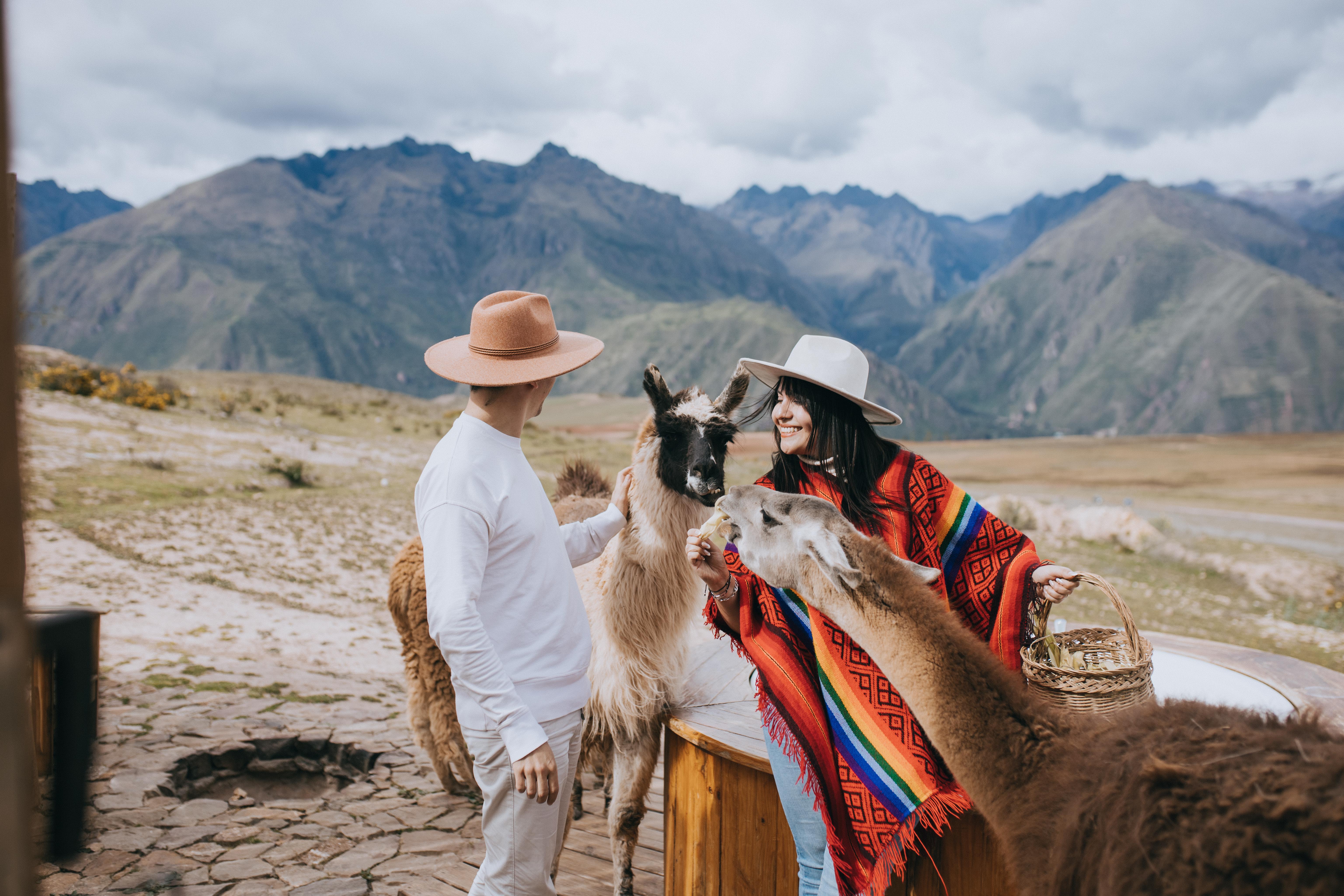 Gutscheinmotiv "Erlebnis"